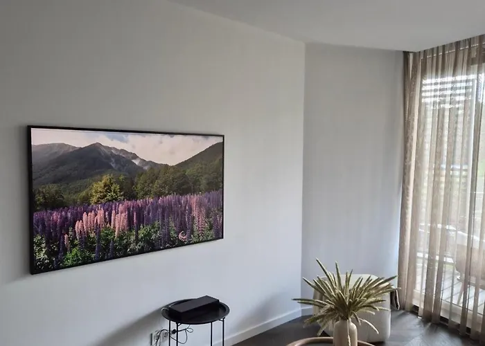 Palangos Asies Apartamentai פלאנגה